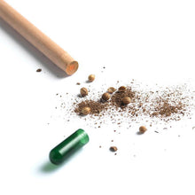 Load image into Gallery viewer, Sprout plantable graphite pencils - 8 Pcs