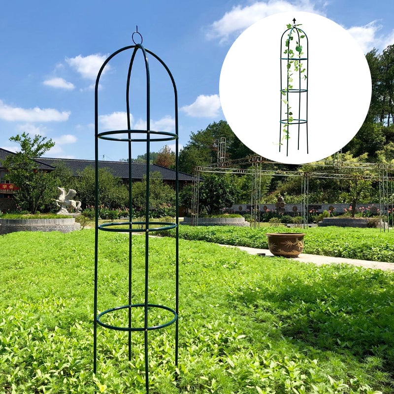Garden Trellis for Climbing Plants
