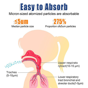 Portable Home Nebulizer