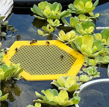 Load image into Gallery viewer, 🐝 Floating Bee Island-Bee Waterer