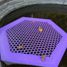 Load image into Gallery viewer, 🐝 Floating Bee Island-Bee Waterer