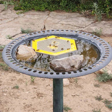 Load image into Gallery viewer, 🐝 Floating Bee Island-Bee Waterer