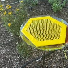 Load image into Gallery viewer, 🐝 Floating Bee Island-Bee Waterer