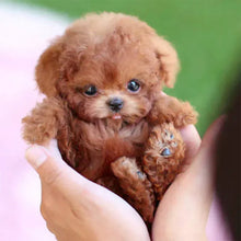 Load image into Gallery viewer, My Realistic Robot Puppy