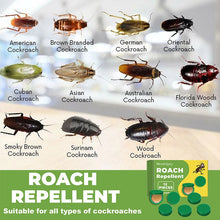 Load image into Gallery viewer, Roach Repellent