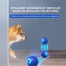 Load image into Gallery viewer, Cosmic Gravity Bouncing Ball