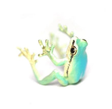 Load image into Gallery viewer, Latest-tree Frog Ring