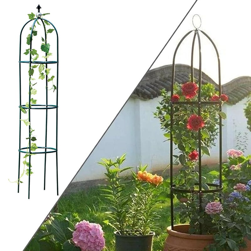 Garden Trellis for Climbing Plants