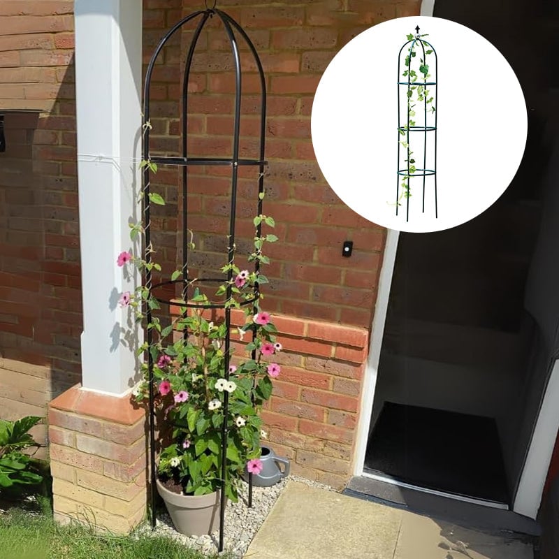 Garden Trellis for Climbing Plants