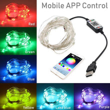 Load image into Gallery viewer, (🎄Early Christmas Promotion🎄) Christmas LED String Lights