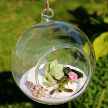 Load image into Gallery viewer, Hanging Glass Plant Pots