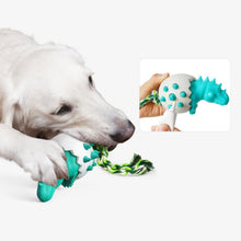 Load image into Gallery viewer, Dinosaur Eggs Dog Chew Toys