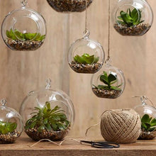 Load image into Gallery viewer, Hanging Glass Plant Pots