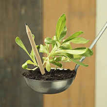 Load image into Gallery viewer, Sprout plantable graphite pencils - 8 Pcs
