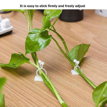 Load image into Gallery viewer, Plant Climbing Wall Clip