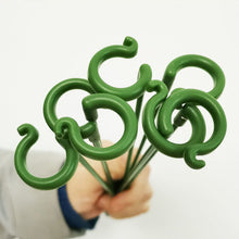Load image into Gallery viewer, Single Plant Stem(10PCS)