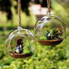 Load image into Gallery viewer, Hanging Glass Plant Pots