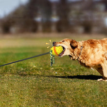 Load image into Gallery viewer, Pet Rope Ball Outdoor Training Toy