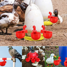 Load image into Gallery viewer, Automatic Poultry Waterer (6 PCS)