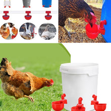 Load image into Gallery viewer, Automatic Poultry Waterer (6 PCS)