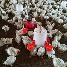 Load image into Gallery viewer, Automatic Poultry Waterer (6 PCS)